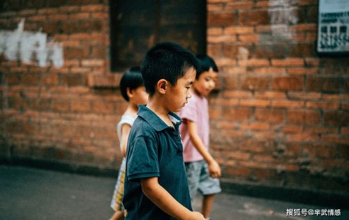 免费观看，揭秘情感世界，老公不懂的爱情
