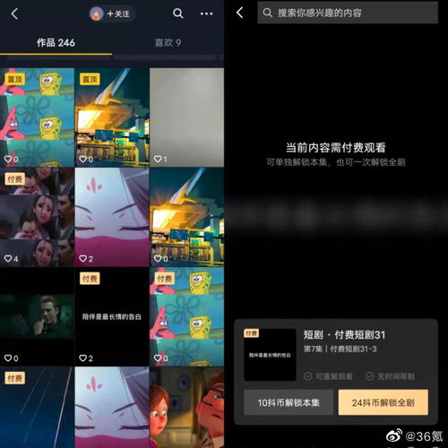 免费观看抖音短剧网址的探索与体验之旅