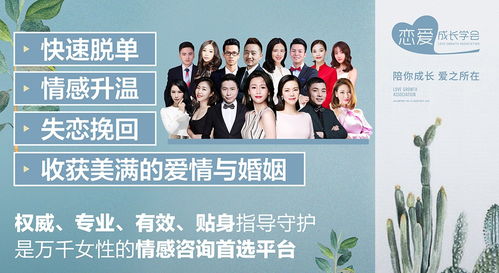 免费观看的乐趣与魅力，卑微小短剧的魅力所在