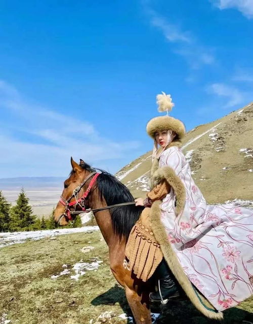 鬼马少女骑马之旅，免费观赏精彩短剧