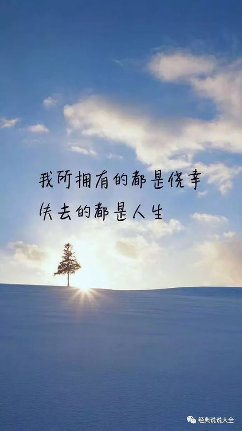 释然情感短剧推荐，免费观看，情感释放之旅