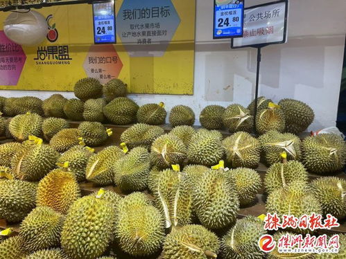 榴莲短剧，免费观看大结局的精彩体验