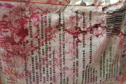 二哈战神，免费热血传奇短剧