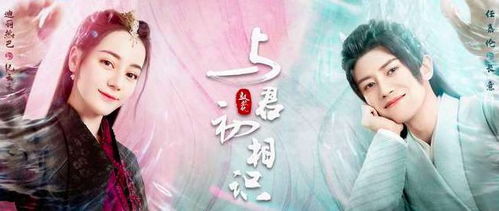 相思不似相识，一部免费观看的短剧佳作