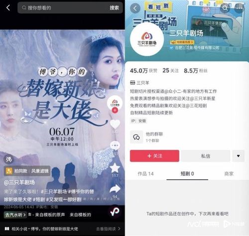 柚子抖音短剧，免费观看的精彩世界
