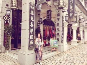 免费观看高清路人惊吓短剧，视觉与心灵的震撼之旅