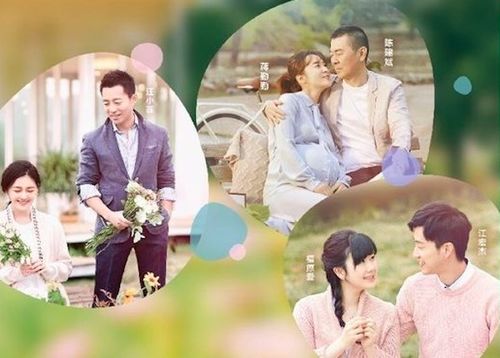 温情夫妻短剧，免费观看的幸福时光之旅
