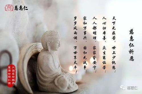 免费观看小神医全集，传统医学与现代娱乐的交融之作