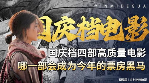 别为我担心，一部免费观看的短剧佳作