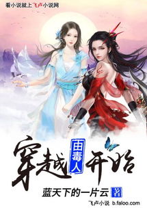 重生王妃，穿越时空的华丽篇章