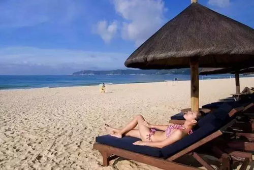 夏日清凉之旅，免费观看海边度假短剧