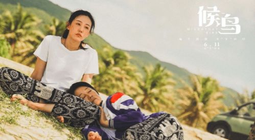回忆与现实交织，免费短剧，体验生活的温馨之旅