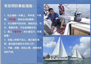 浪漫相遇，免费短剧在线观看之旅