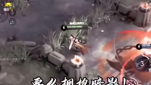 免费观看，天神尊短剧，视觉与心灵的双重盛宴
