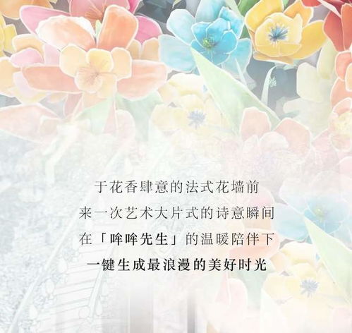 免费观看的快乐时光，宠爱如命