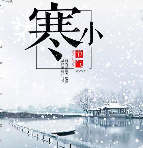 小寒时节暖心短剧推荐，免费观看全集