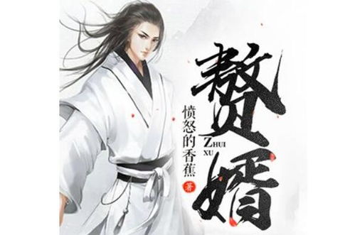 穿越赘婿，免费奇幻之旅