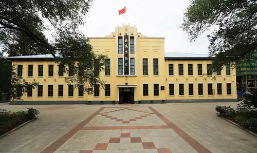 小肖网络短剧，免费观看的精彩世界之旅
