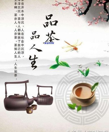 品味人生，免费观看人生三七短剧的深度解析与感悟