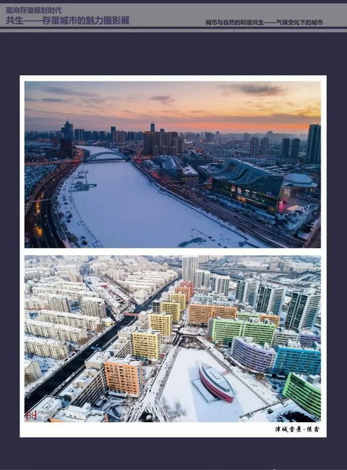 短剧迷的福音，全集免费观看的魅力之旅
