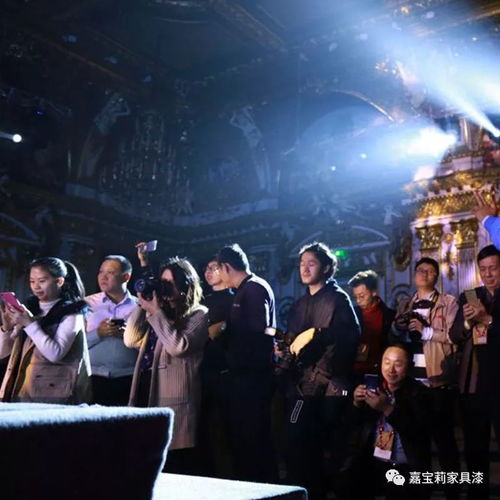 免费观看，复仇系列短剧——视觉盛宴的深度解读