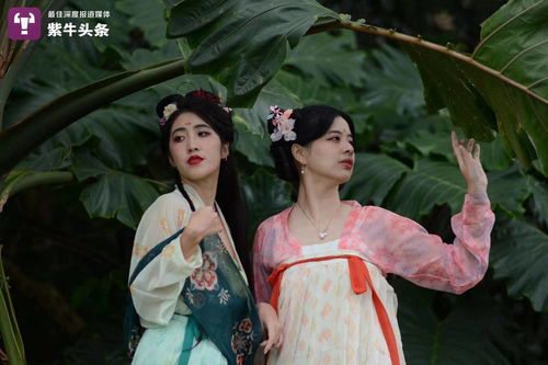 穿越变王妃，免费短剧的魅力之旅