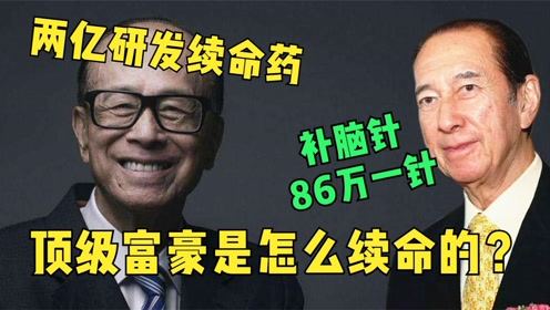 短剧新风尚，免费观看虐心剧情深度解析