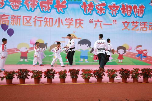 春日免费短剧，快乐时光浓情相随