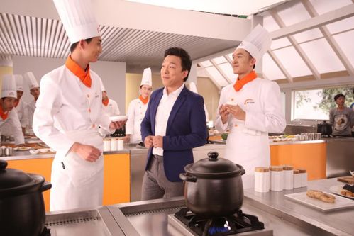 女厨师的烹饪与情感之旅小短剧，免费观看