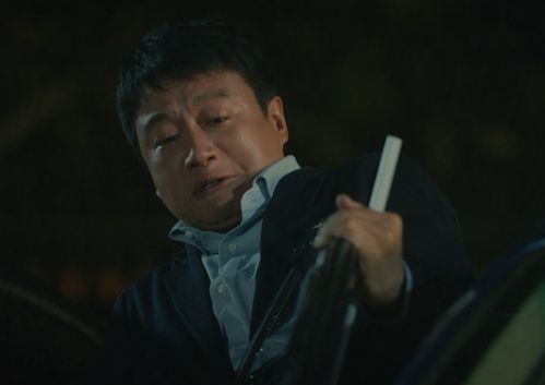 爱与罪的深度剖析，罪妻入狱