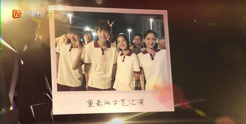 网络短剧，青春剧场免费观看的无限魅力之旅