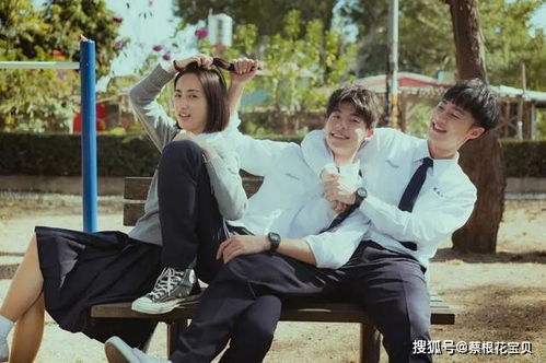 舅舅的求婚，情感交织的短剧