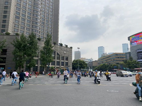 傻子逆袭成首富，免费短剧新体验