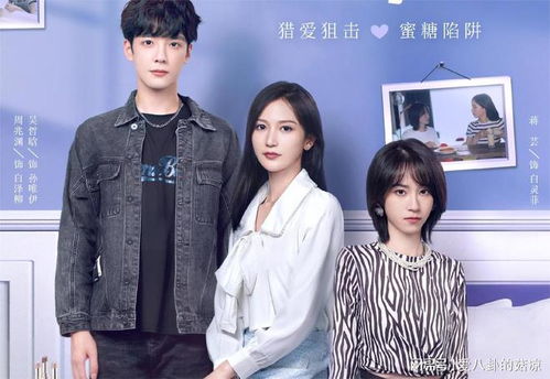 落魄人生，免费观看全集的短剧