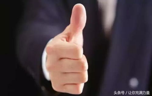 渣男老板，职场警示与反思短剧免费观看