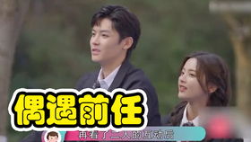旧梦邂逅，现任与前任的偶遇记