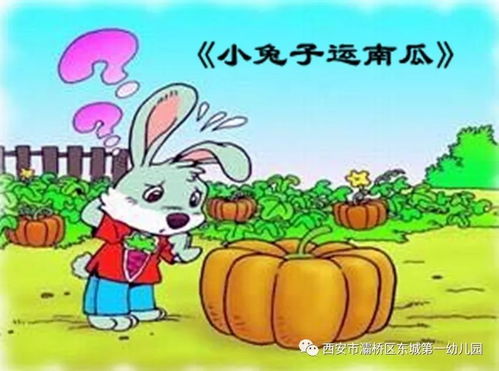 小兔乖乖，免费短剧的乐趣之旅