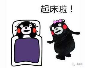 从我不起床到短剧的奇妙邂逅，免费观看的乐趣与魅力