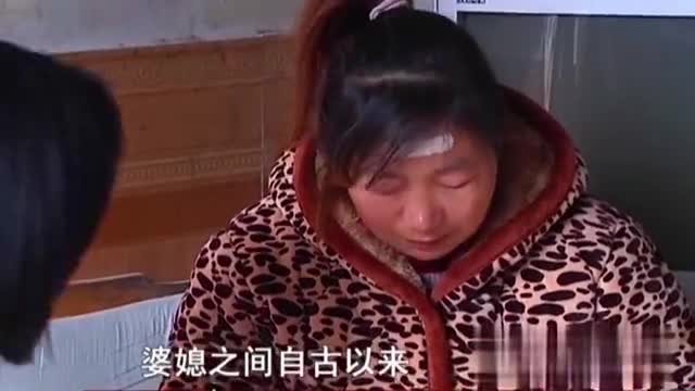 霸道儿媳，免费高清短剧瞬间
