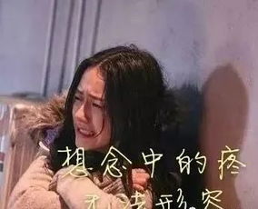 免费观看，情感故事短剧，挽留话语触动人心瞬间