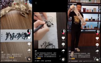 双生抖音短剧，免费畅享，乐趣无边界