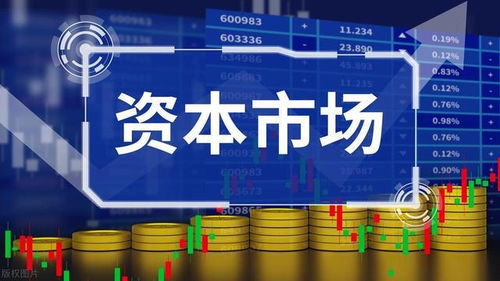 揭示商业背后的真相，免费观看高清黑心商人短剧