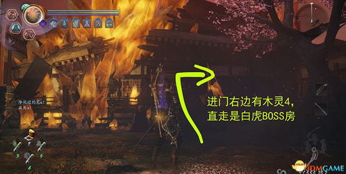 打王之王免费短剧观看，视觉与激情的盛宴