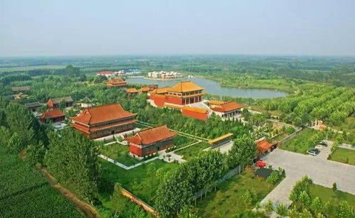 奶奶的陪伴，短剧中的亲情温暖之旅