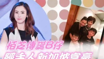 美颜成真，免费短剧合集的魅力之旅