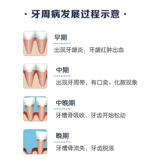 以牙还牙，深度反思的短剧全集免费观看