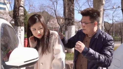 免费高清短剧，刺客夫妇的精彩演绎