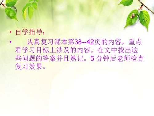 网络时代下的道德思考，免费观看欺负弱者短剧的反思