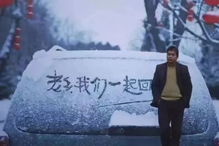 免费观看，第一神医的魅力之旅