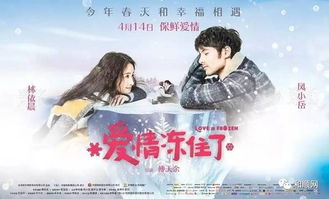 婚前誓言，情感交织的短剧